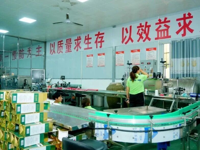 08c6aff9f8055107d8096b5bbe37008e