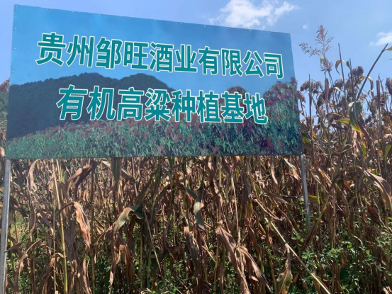 源头2
